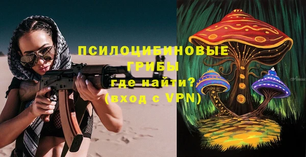 винт Дмитриев