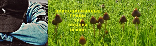 винт Дмитриев