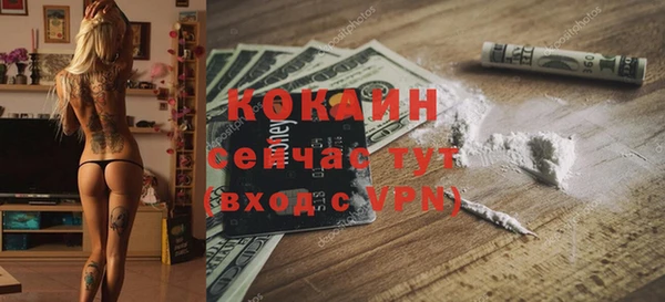 винт Дмитриев