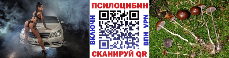 Псилоцибиновые грибы мухоморы Долгопрудный